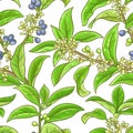 Osmanthus vector pattern