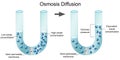 Osmosis diffusion process isolated diagram Royalty Free Stock Photo