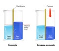 Osmosis and Reverse Osmosis Royalty Free Stock Photo