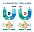 Osmosis reverse vector illustration. Explained process with solution. Royalty Free Stock Photo