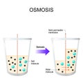 Osmosis. Water passing through a semi-permeable membrane