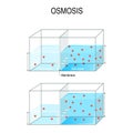 Osmosis. Water passing through a semi-permeable membrane into a region of higher concentration Royalty Free Stock Photo
