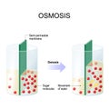 Osmosis. Water passing through a semi-permeable membrane Royalty Free Stock Photo