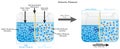 Osmotic Pressure Infographic Diagram showing fresh water separated from seawater Royalty Free Stock Photo