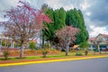 OSORNO, CHILE, SEPTEMBER, 23, 2018: Outdoor view of park of dowtown with some trees in a cloudy day in Puerto Octay