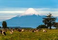 Osorno Volcano, Lake Region, Chile Royalty Free Stock Photo