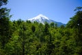 Osorno Volcano snow capped peak view over green trees forest, Los Lagos, Chile Royalty Free Stock Photo