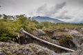 Osorno vulcan in cloudy weather, Chile