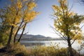 Osoyoos Lake Royalty Free Stock Photo