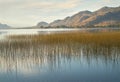 Osoyoos Lake Morning Light Reflection BC Royalty Free Stock Photo