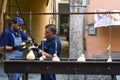 Vendors prepare caciocavallo cheese, called Impiccato, at the festival, in Ospedaletto d\'Alpinolo near Avellino, Italy