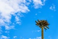 Osprey or Fish Hawk Nest made of twigs and branches on a tall pole along the Coldwater Road near Merritt, BC Royalty Free Stock Photo