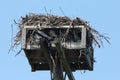 Osprey Nest Royalty Free Stock Photo