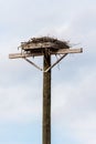 Osprey Nest on Raised Platform Royalty Free Stock Photo