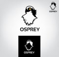 Osprey Vector