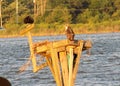 Ospreys on the Patuxent River in Maryland