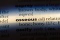 osseous Royalty Free Stock Photo