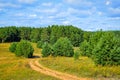 Coniferous forest dirt road near Ostashkov town Royalty Free Stock Photo