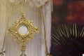 Ostensorial adoration in the catholic church - Holy Week Royalty Free Stock Photo