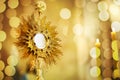 Ostensorial adoration in the catholic church Royalty Free Stock Photo