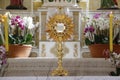 Ostensorial adoration in the catholic church