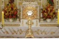 Ostensorial adoration in the catholic church