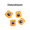 Osteoblasts Cells Design Royalty Free Stock Photo