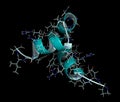 Osteocalcin bone-building hormone porcine. 3D rendering, cartoon line representation. N-to-C gradient coloring. Royalty Free Stock Photo