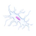 An osteocyte Royalty Free Stock Photo