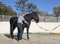 Osteopath and horse Royalty Free Stock Photo