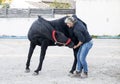 Osteopath and horse Royalty Free Stock Photo