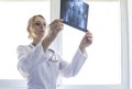 Osteotomy of the femur. A doctor examines an X-ray before a femoral osteotomy operation.