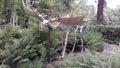 Ostrava, Czech - 07 05 2021: Giant statue of ancient species of deer Megaloceros viewed from the front and side and situated betwe Royalty Free Stock Photo