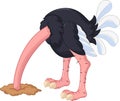 Ostrich cartoon has buried a head in sand Royalty Free Stock Photo