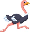 Ostrich cartoon running