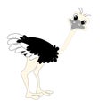 Ostrich cartoons flat design cartoons object isolated cute bird design element illustration