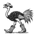 Ostrich Cowboy Boots Illustration vector Royalty Free Stock Photo