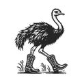 Ostrich Cowboy Boots Illustration vector Royalty Free Stock Photo