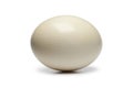 Ostrich egg