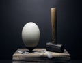 Ostrich egg and hammer fine art still life