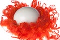 Ostrich egg in red nest Royalty Free Stock Photo