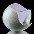 Ostrich egg shells on black background Royalty Free Stock Photo