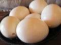 Ostrich eggs Royalty Free Stock Photo