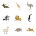 Ostrich emu, crocodile, giraffe, tiger, penguin and other wild animals. Artiodactyla, mammalian predators and animals