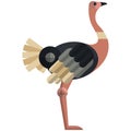 Ostrich Emu poultry bird icon, flat vector isolated illustration. Farm bird. Domestic fowls. Royalty Free Stock Photo