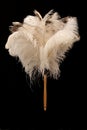 Ostrich Feather Duster Royalty Free Stock Photo