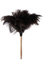 Ostrich Feather Duster Royalty Free Stock Photo