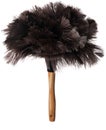 Ostrich Feather Duster Royalty Free Stock Photo