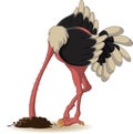 Ostrich has buried a head in land Royalty Free Stock Photo