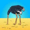 Ostrich hid its head in the sand pop art vector